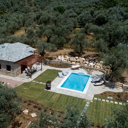 Elea וולוס